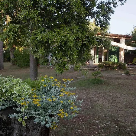 Holiday Dajla 35 * Novigrad (Istria)