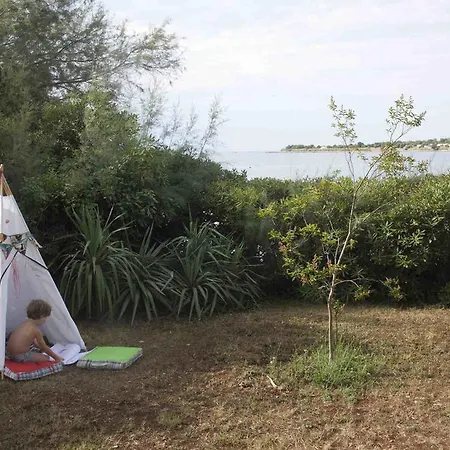 Holiday Dajla 35 Holiday home